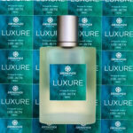 armandi luxure
