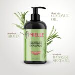 mielle rosemary shampoo